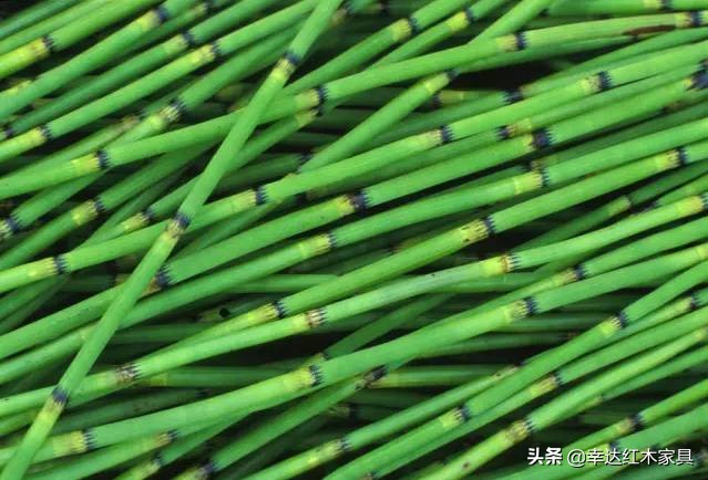 古代木匠是干什么,古代木匠用什么钉子