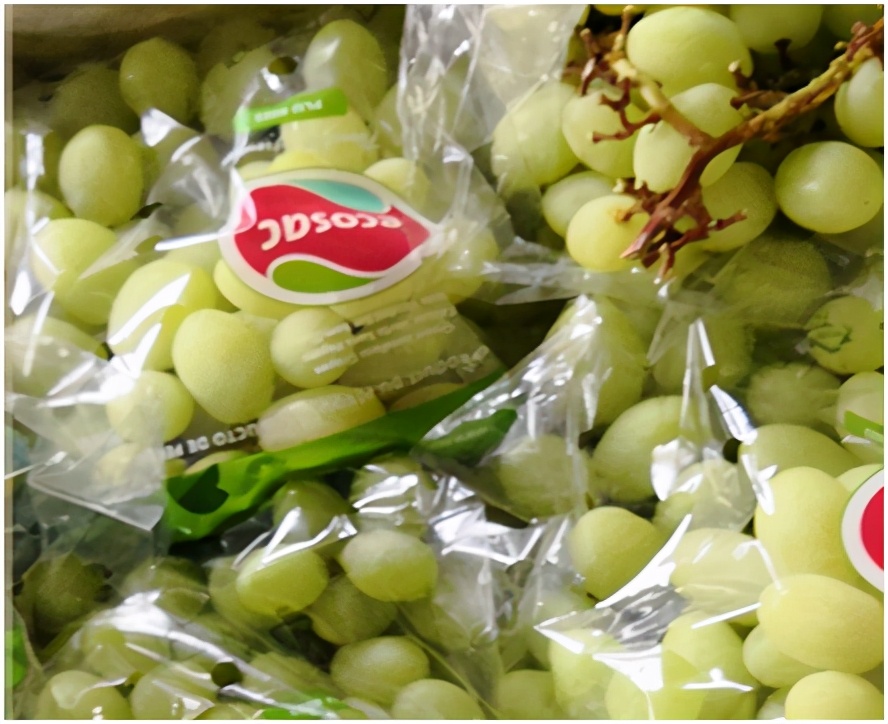 进口提子哪些品种 (进口提子品种及图解)