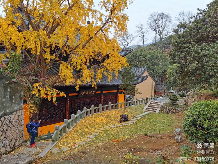 温州茶山五美园的故事,温州茶山五美园