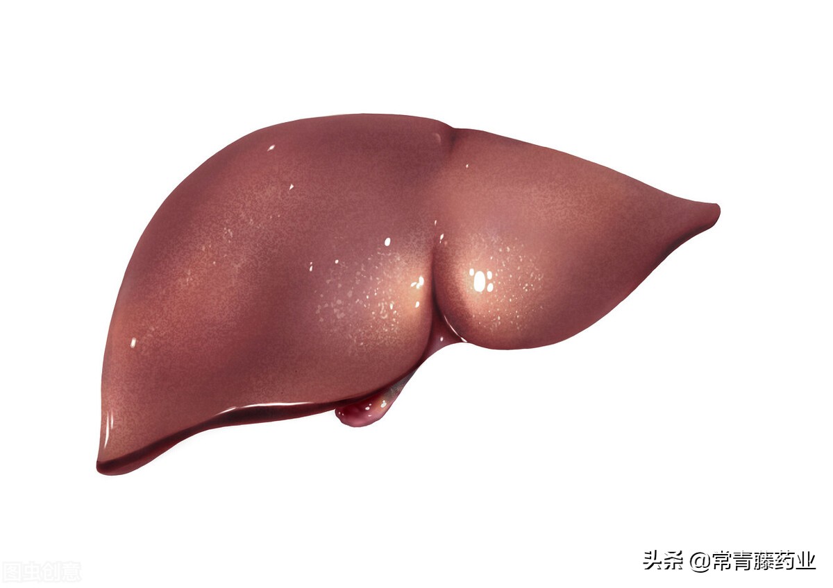 乙肝病毒表面抗体igg过高,乙肝病毒量高有什么解决方法