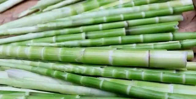 春笋吃不完怎么办,春笋太多吃不完怎么办做成笋干