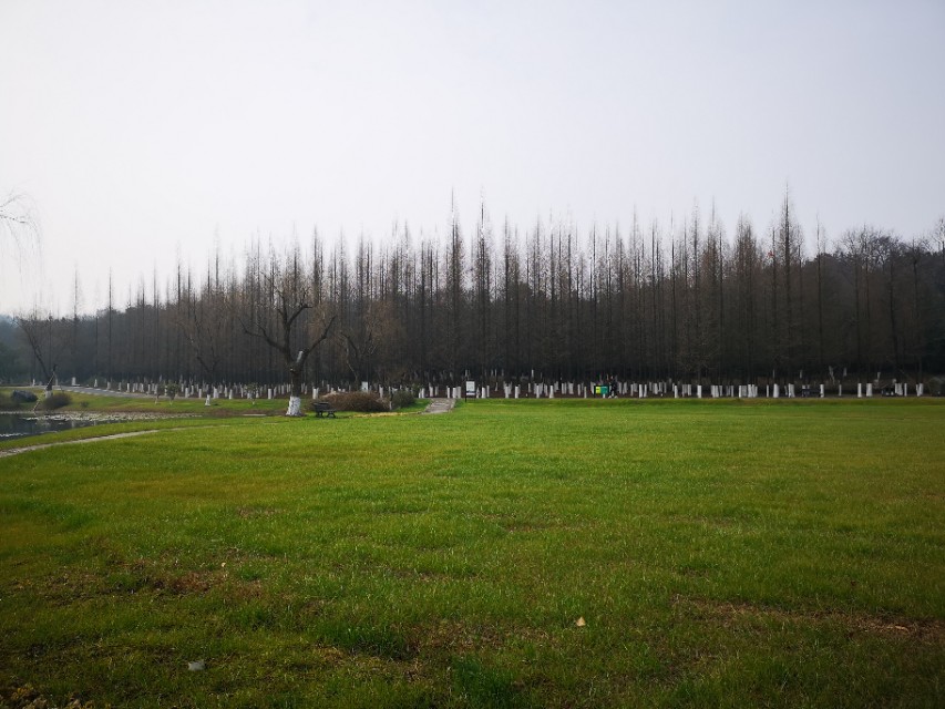 宜兴竹海游和龙背山森林公园游记