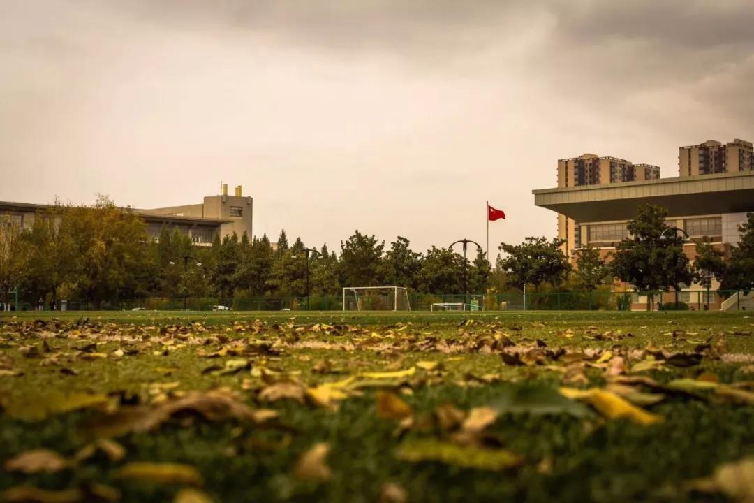 就业率最高的班级,陕西就业率最好的大学是哪个