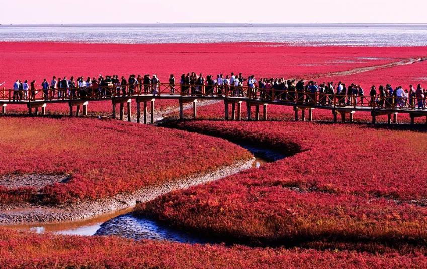辽宁最宜居城市营口,盘锦和营口哪个宜居