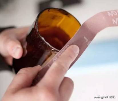 空酒瓶创意改造盆栽,室内盆栽植物专用瓶