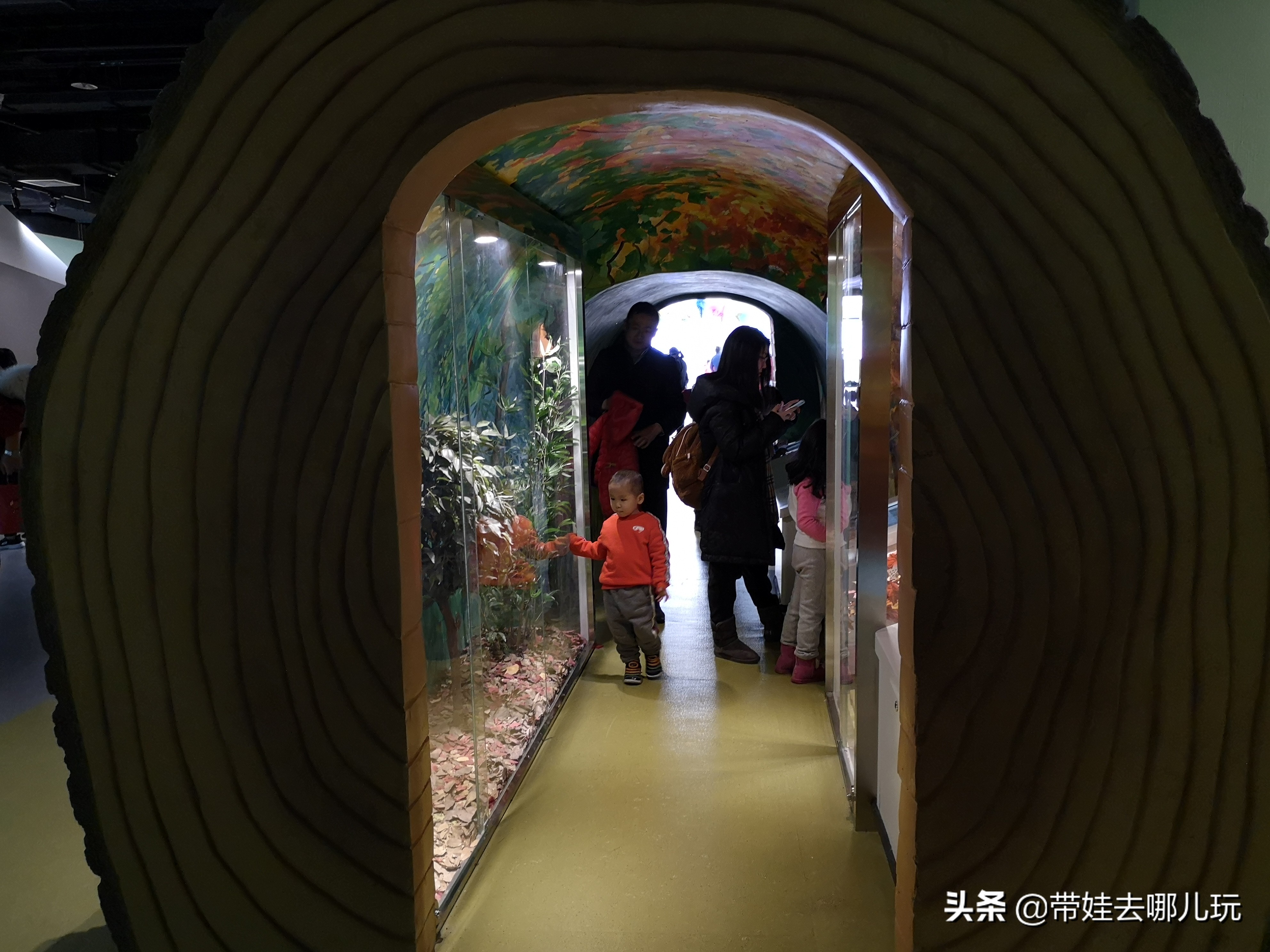 北京最大儿童乐园游乐场,北京最好玩的大童乐园