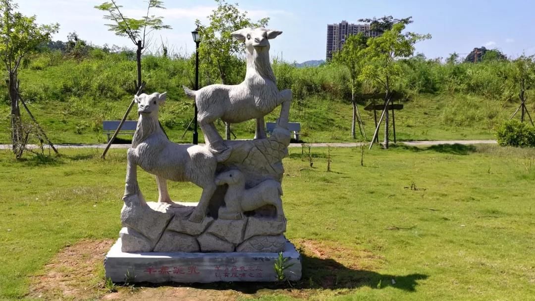 赏石艺、休闲游，这个体育公园都可以满足你！