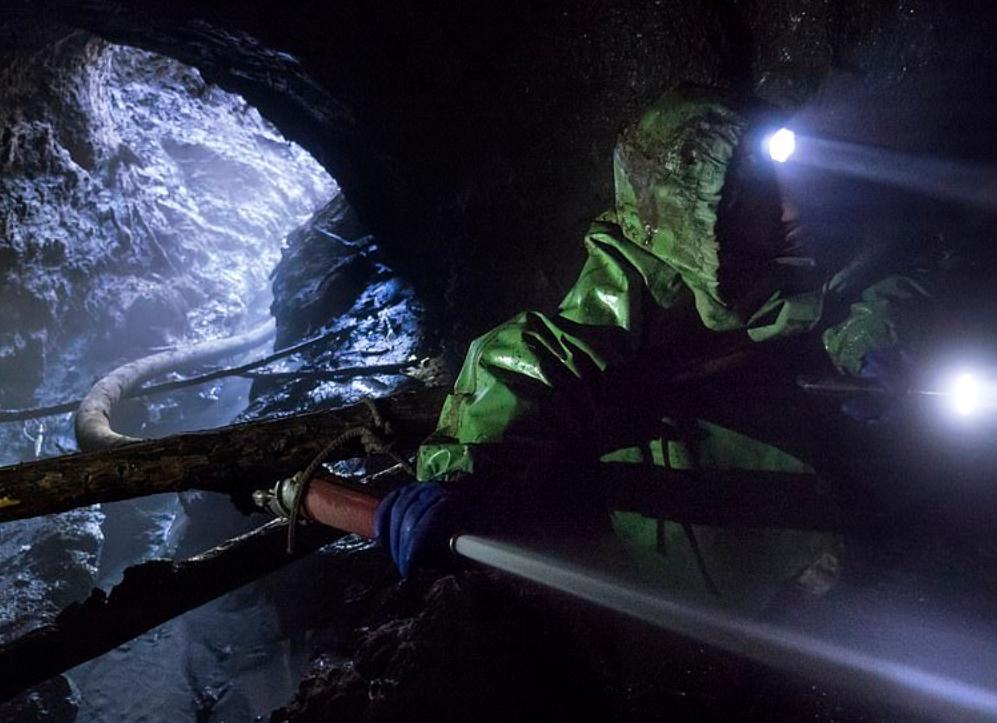 战斗民族挖宝藏,东北出土猛犸象牙