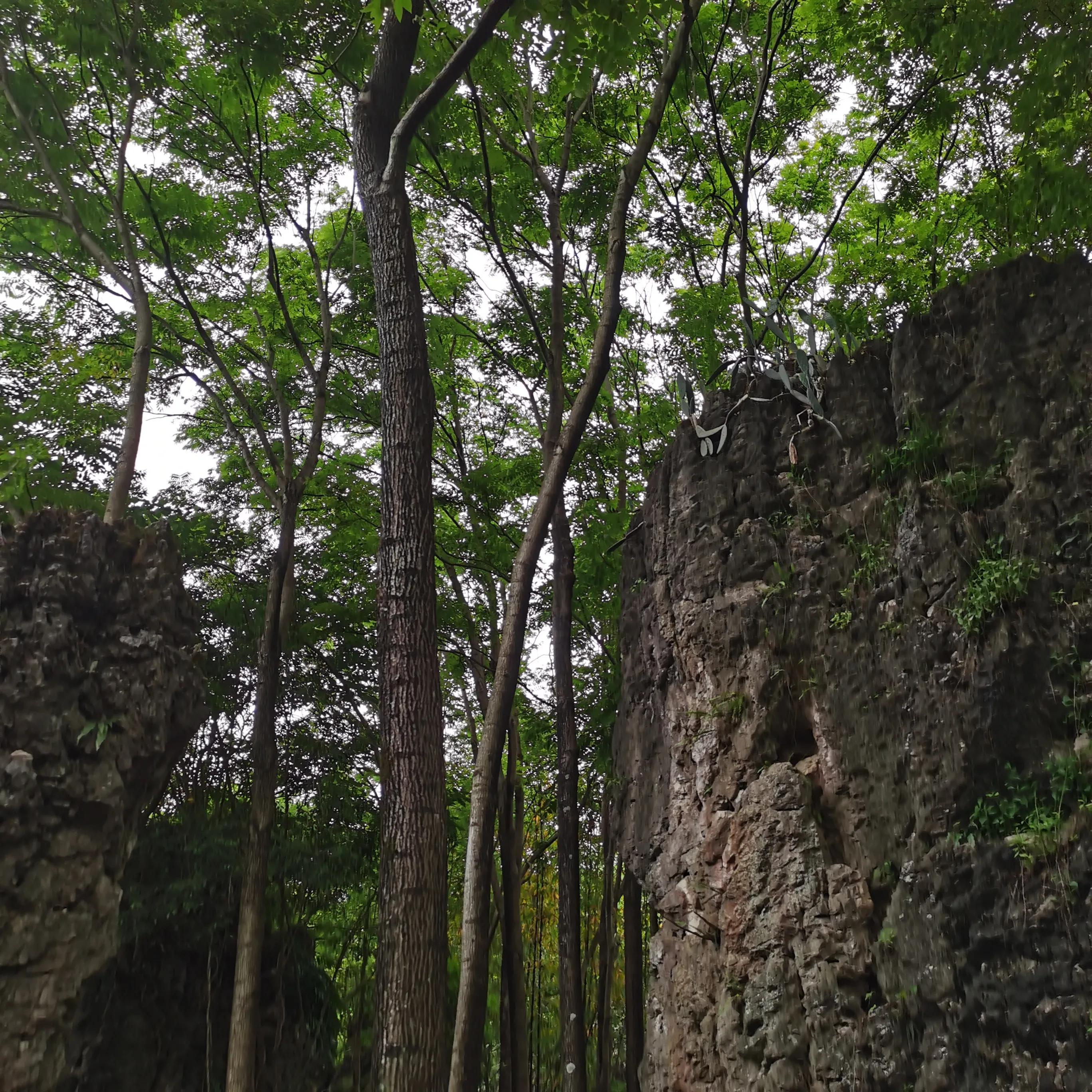 向南方和向北方,登上山顶看美景贵州黄果树瀑布