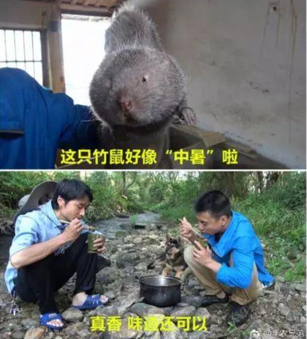 盘点那些被遗忘的网红2018,2019年十大最心酸的网红