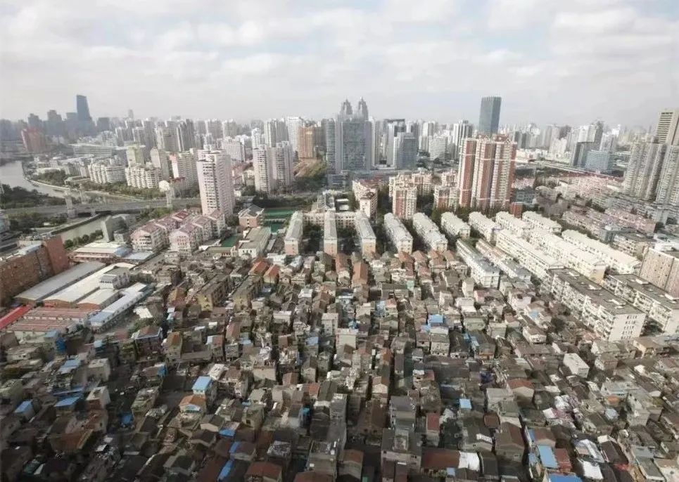 万株郁金香春天,一百万株郁金香