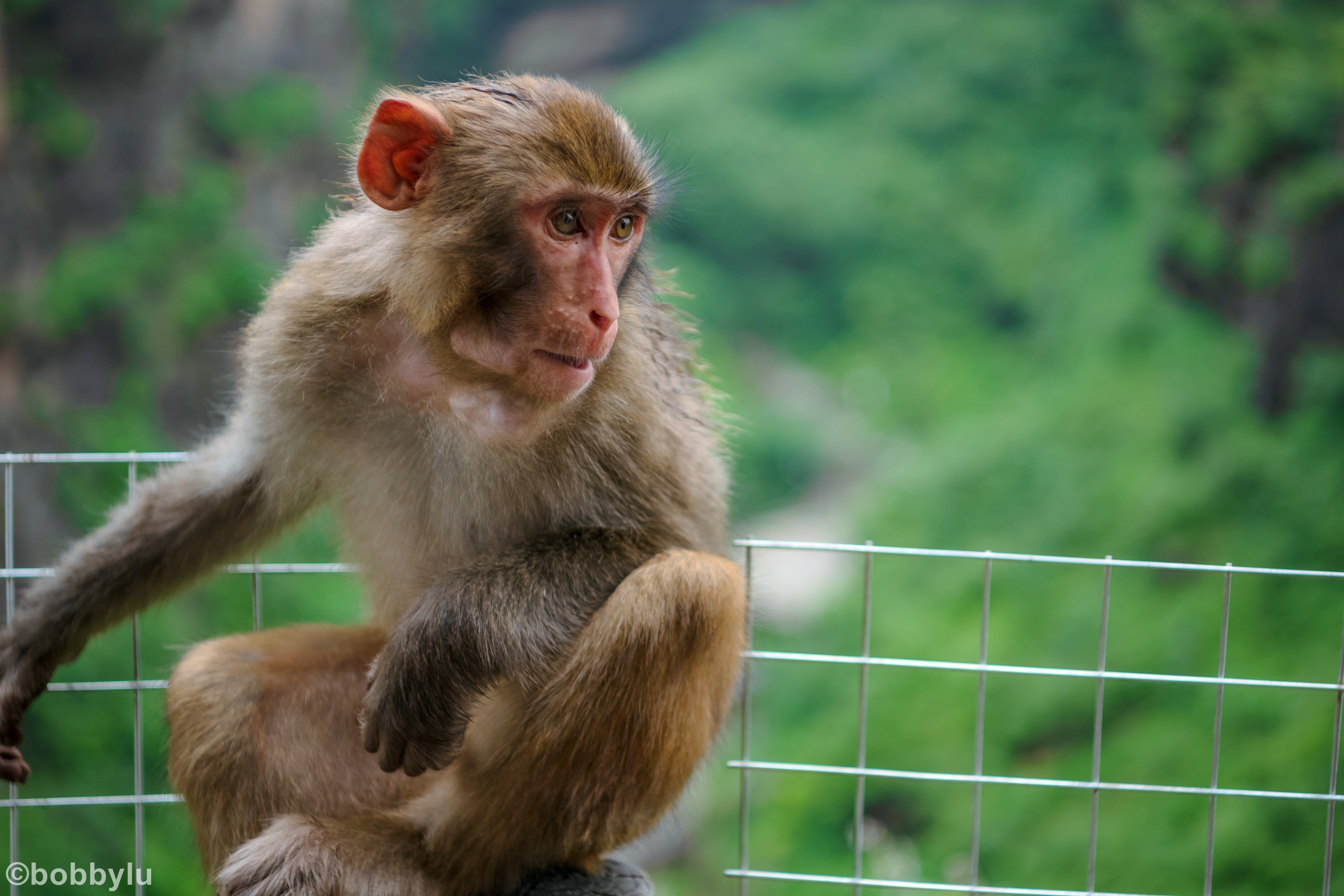 隐藏在深山里的网红景点,隐藏深山古村堪称世外桃源