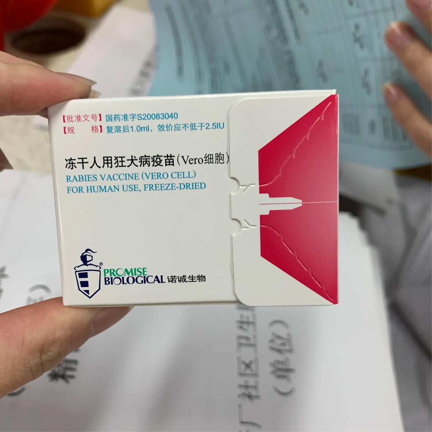 养狗怎么预防孩子狂犬,养狗小知识科学对待狂犬病