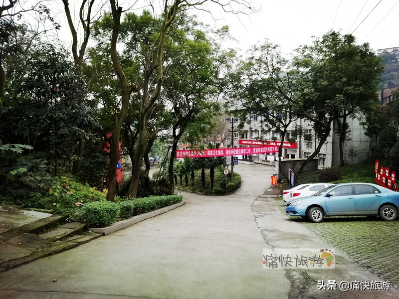 自贡桃花山学校,2014年自贡市桃花山学校