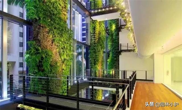 室内景观设计的基本步骤,极简风格室内小型景观设计