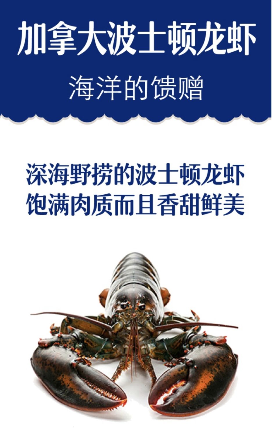 生鲜果蔬配送商城长春,全球顶级水果生鲜配送