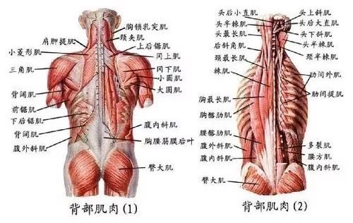 骨科医生教你5招轻松对付腰痛,经常突发性腰痛怎么治