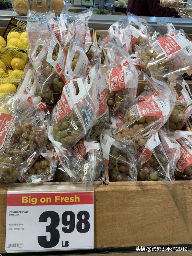 加拿大超市购物必买 (加拿大多伦多costco购物必买)