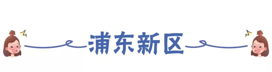 上海教育占比,上海教育资源最好为啥分数线低