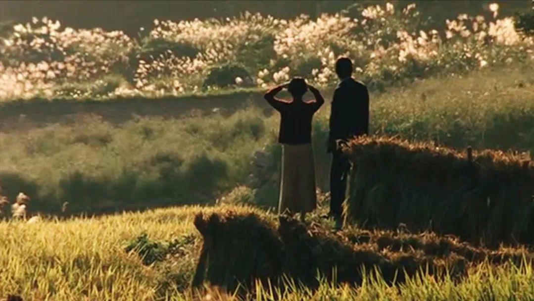 10部治愈心灵的电影推荐,治愈超解压的电影