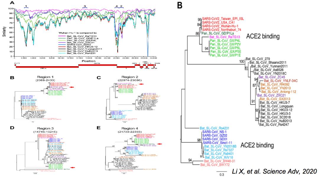 中医科学院任丽丽,任丽丽
