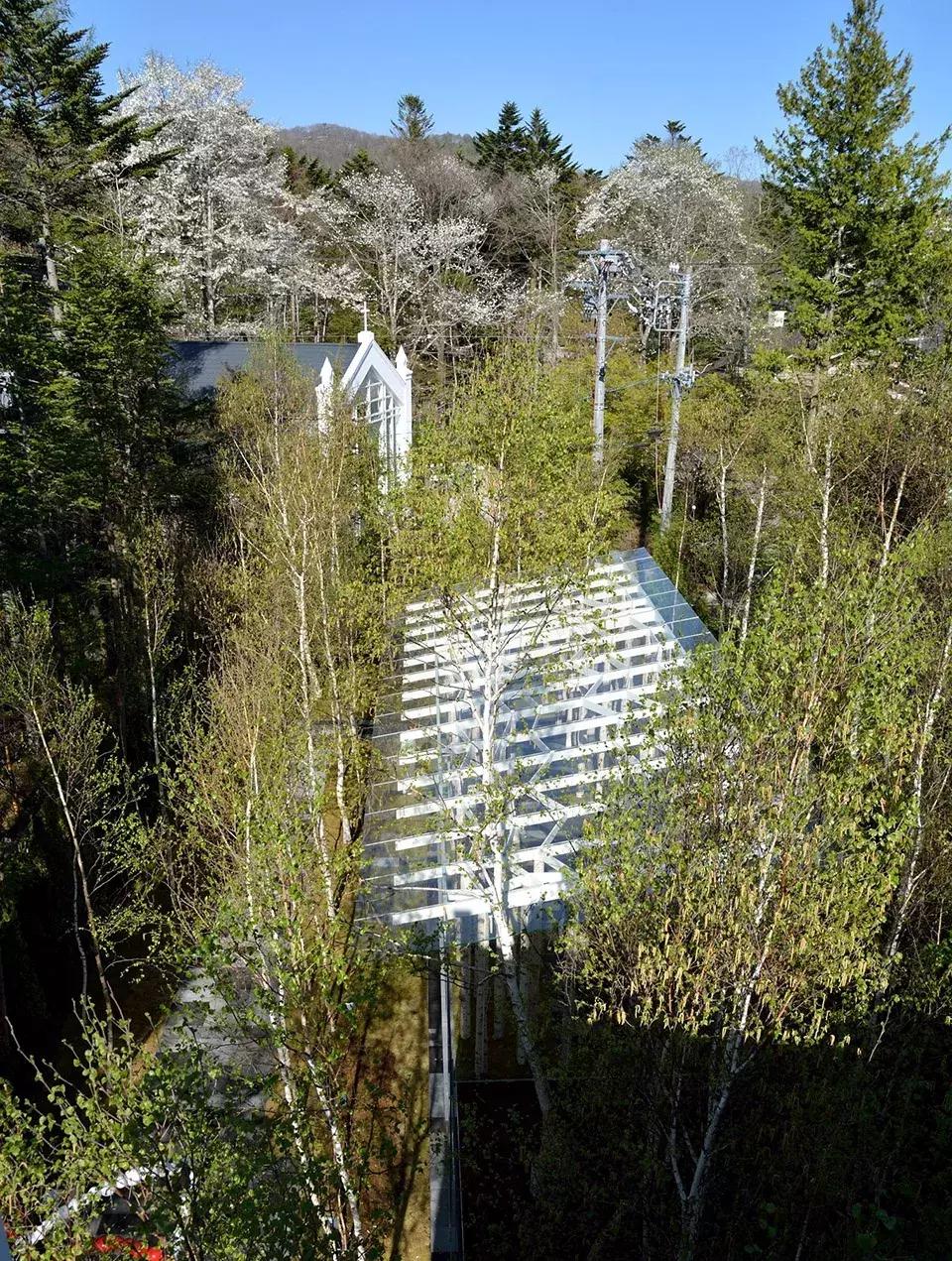 隈研吾近期作品,隈研吾新作品