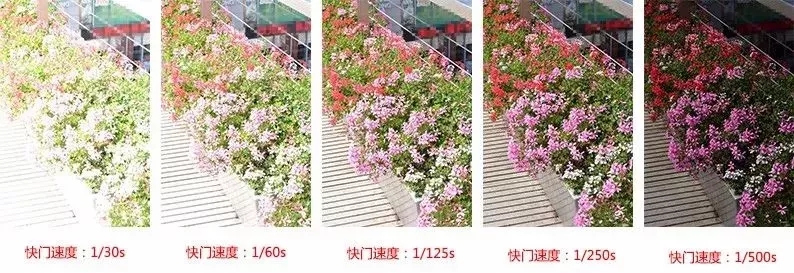 摄影入门教程光圈快门iso曝光,摄影入门快门对照图