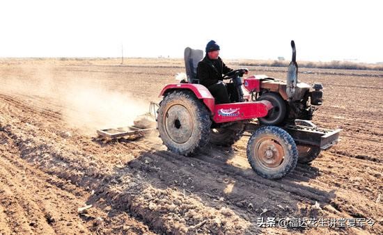 花生高产种植与管理,花生壮苗