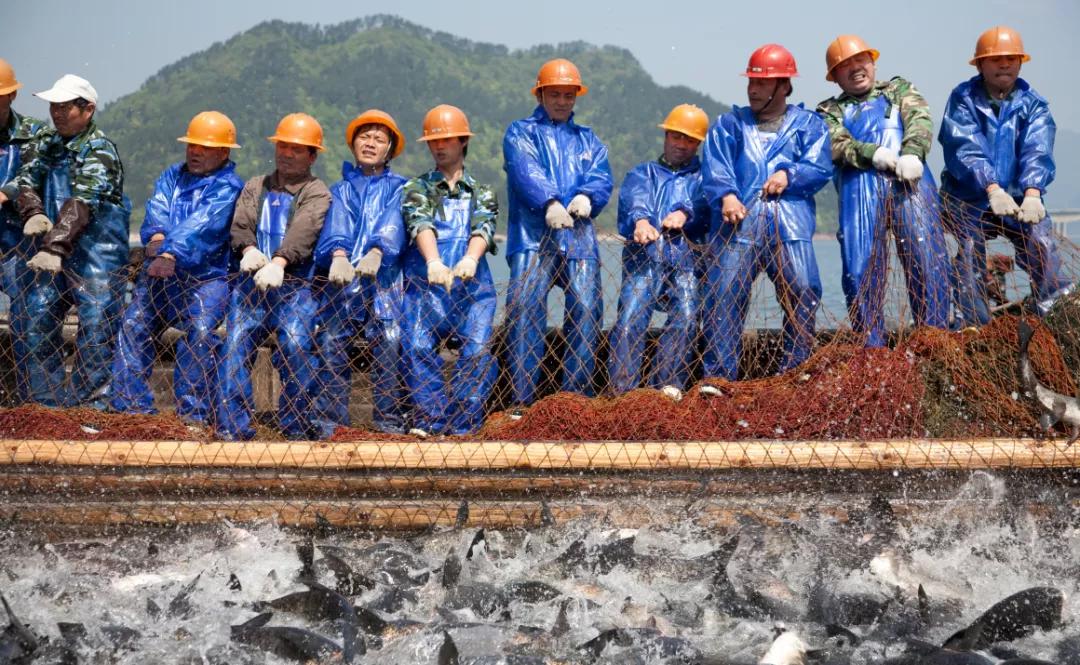5a级景区排行榜杭州,浙江首批5a景区有哪些