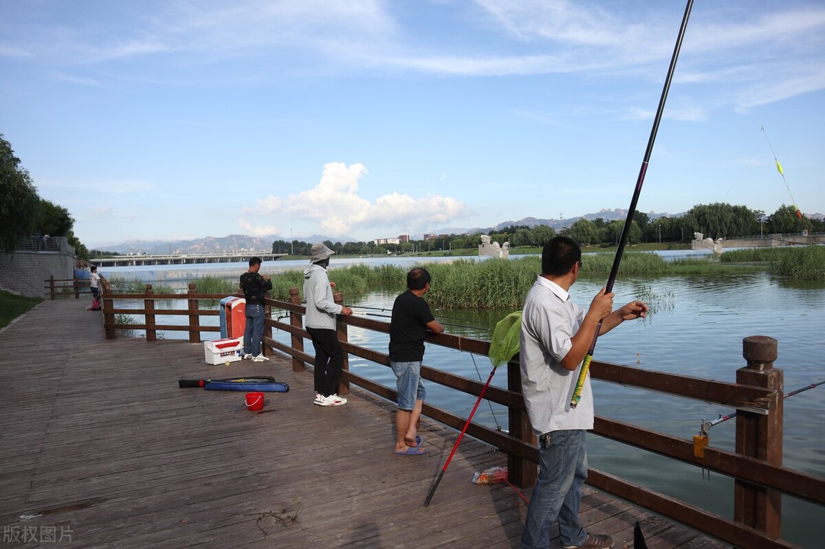 野钓怎么提高鱼获,资源不好野钓大鱼技巧及方法