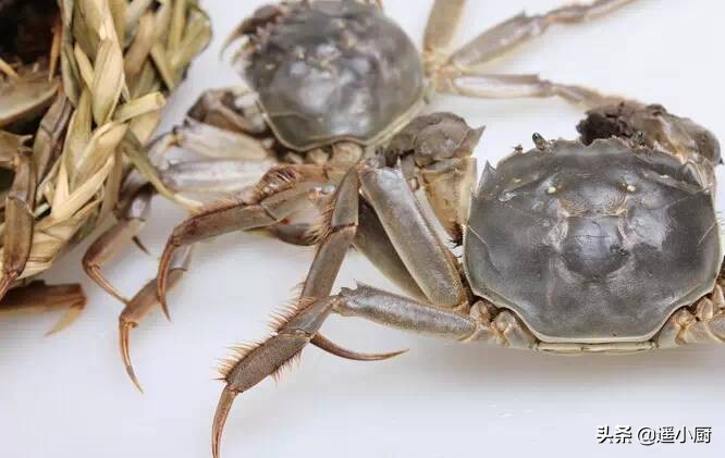 螃蟹菜品真实视频,螃蟹的各种菜品