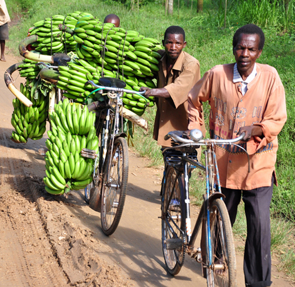 还记得逃跑的乌干达运动员吗?后续来了:回国被抓、孕妻被赶,惨