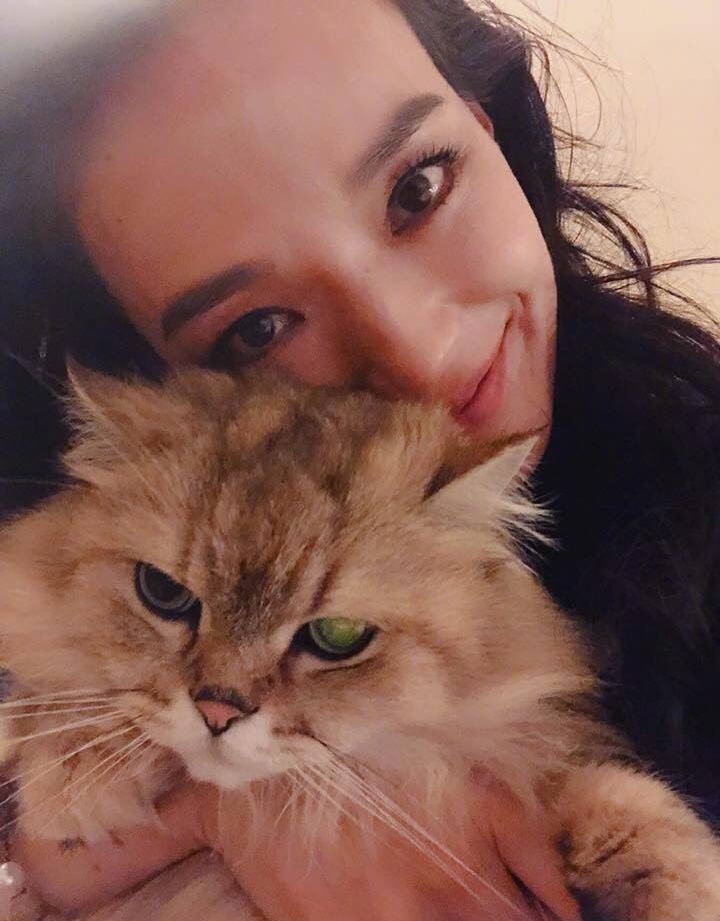 郭富城心目中的女神,郭富城张曼玉谁漂亮