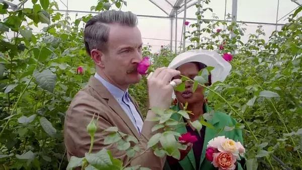 世界最大鲜花市场的销售全过程,全球最大的鲜花交易市场排名第一