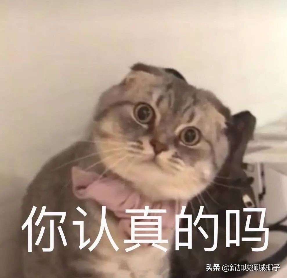 如果胜新加坡能进世界杯吗,新加坡有没有进世界杯