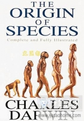 正畸医生如何指定方案的,正畸医生怎么说