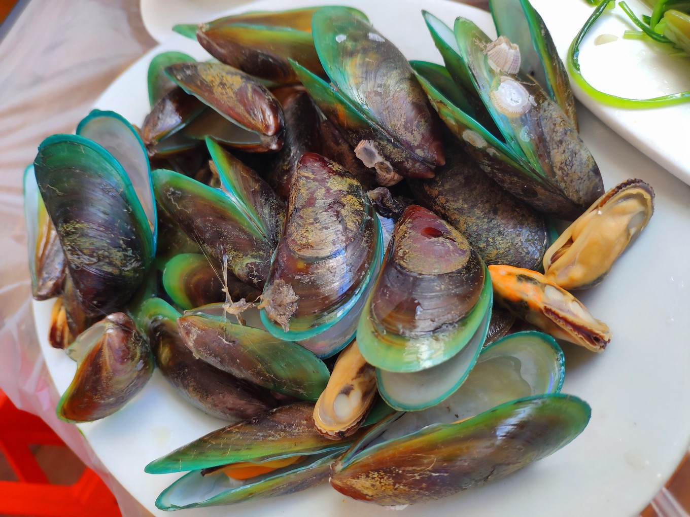 南澳岛好吃的东西,南澳岛好吃的菜