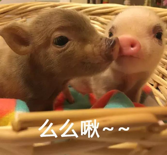 再晚也要敷面膜赶走一天的疲劳,又困又累