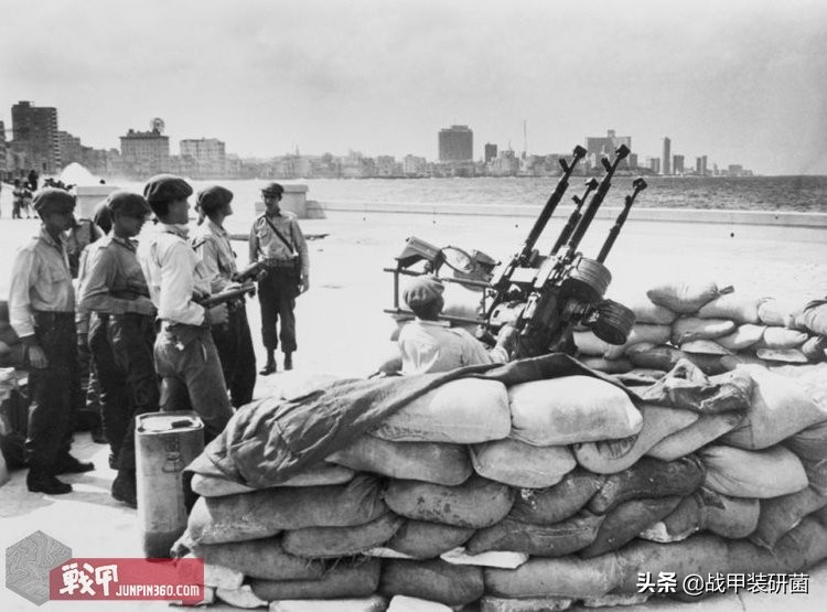 眼镜蛇行动1962,眼镜蛇行动特种部队