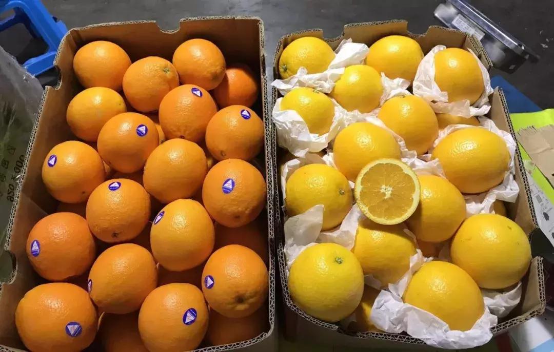 进口水果贵的原因在哪里,进口水果有哪些猫腻