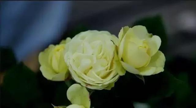 每天学习一点点女性小常识,每天学习一点点科普一下