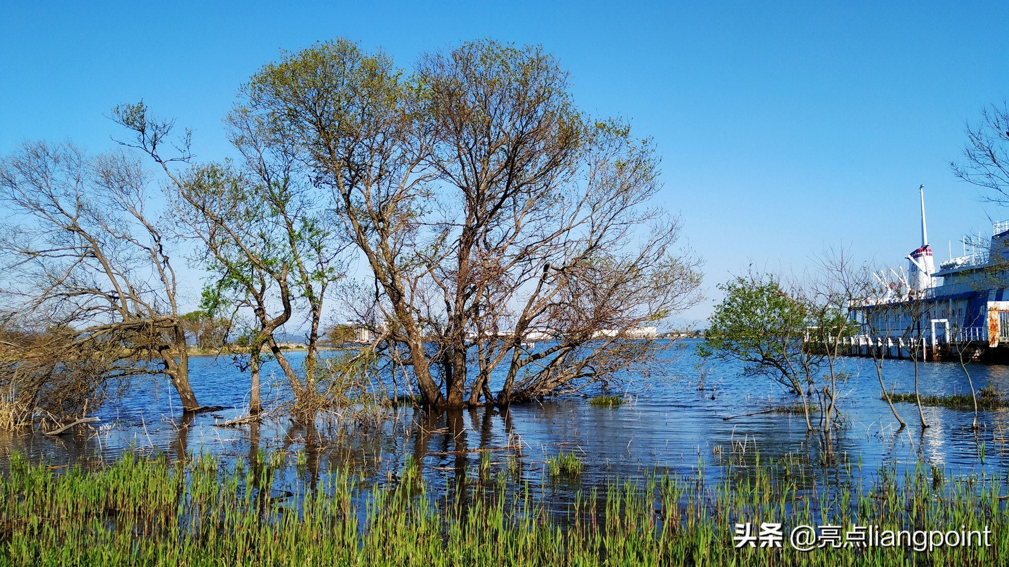 日本最大的湖琵琶湖图片,日本琵琶湖最大的地方