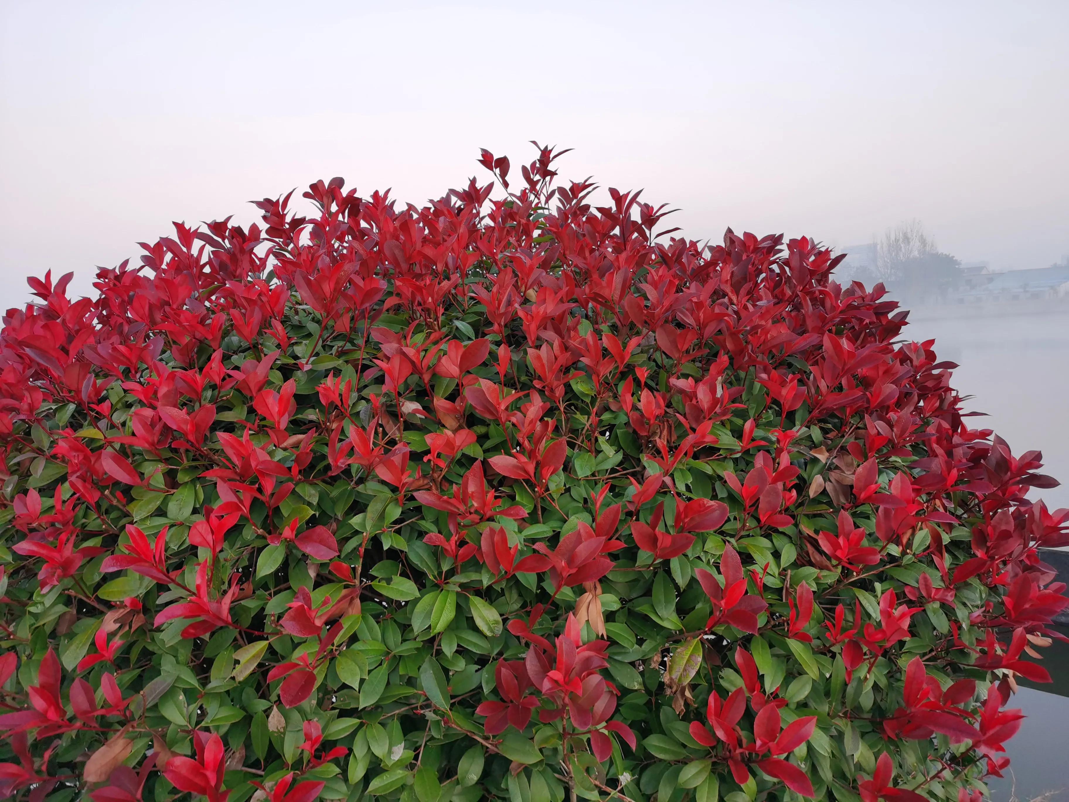 多嘴的女人会有什么后果,多嘴的后果作文