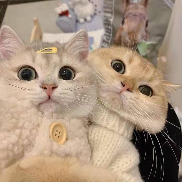 你们住一起,什么相位在一起会感觉很痛苦