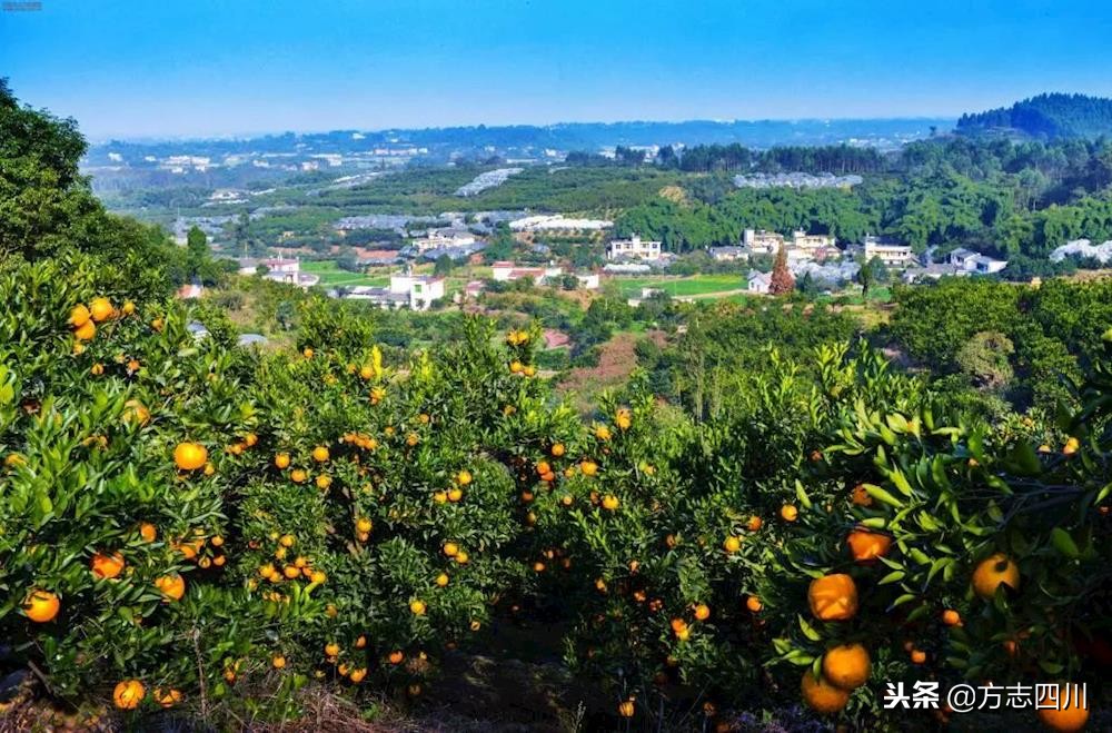 1999年改革开放大事记是什么,1988年四川改革开放大事记