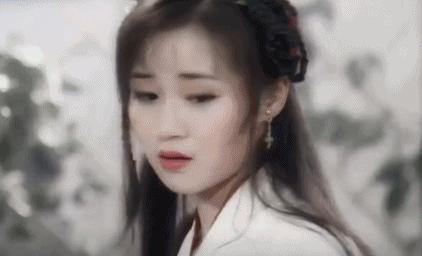 万绮雯有多爱甄子丹,万绮雯年轻时的盛世容颜甄子丹