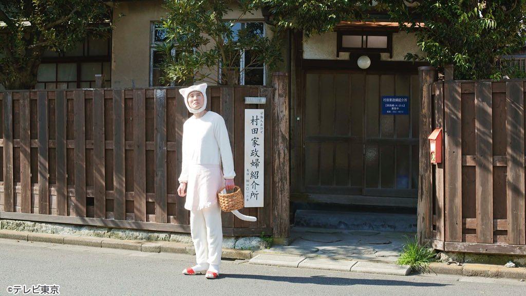 那个孤独的美食家，改行做了猫界家政妇。