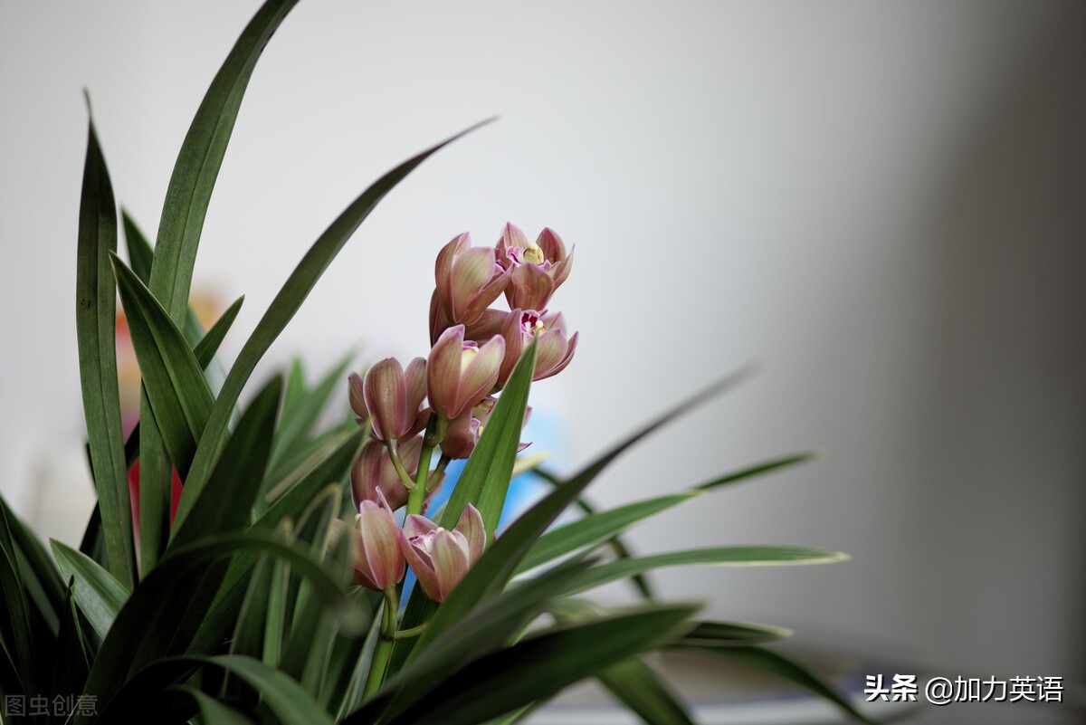 中考英语晨读美文100篇,中考英语阅读训练100篇69页