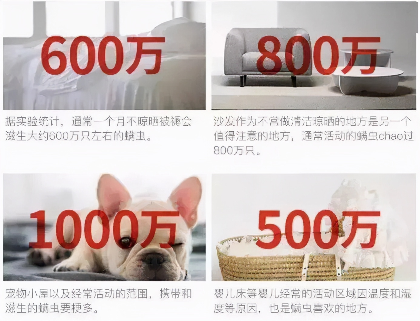 英国珀婷pertine除螨喷雾剂,瑞士珀婷pertine除螨喷雾剂