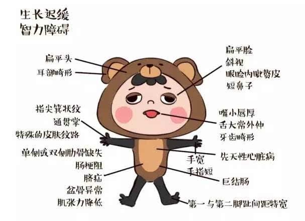 胎儿的大脑发育怎么排查畸形,胎儿有畸形和智力问题能查出来吗